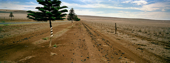 Lanai Abandoned Pineapple Farm