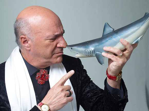 TL_KevinOLeary55618