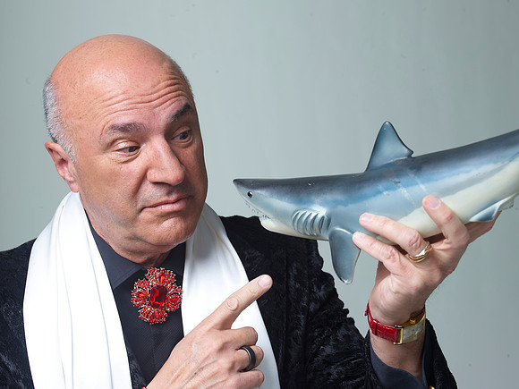 TL_KevinOLeary55622