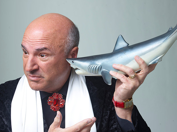 TL_KevinOLeary55624