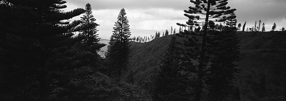 03_Negs_008