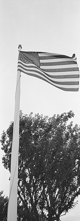 005087640006.tif